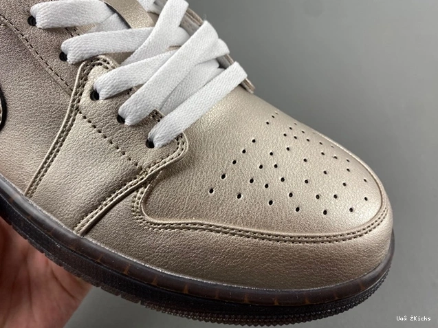 1 SE HQ3529-099 Classic Zinc Metallic 19 Jordan Low 0719